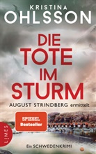 Kristina Ohlsson - Die Tote im Sturm - August Strindberg ermittelt