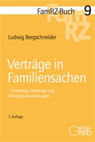 Ludwig Bergschneider, Ludwig (Dr.) Bergschneider - Verträge in Familiensachen