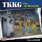 Stefan Wolf - Ein Fall für TKKG - Iwan, der Schreckliche, 1 Audio-CD (Audio book)