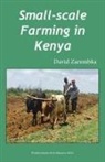 David Zarembka - Small-Scale Farming in Kenya