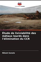 Nilesh Sonole - Étude de lixiviabilité des métaux lourds dans l'élimination du CCR
