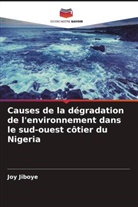 Joy Jiboye - Causes de la dégradation de l'environnement dans le sud-ouest côtier du Nigeria