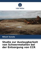 Nilesh Sonole - Studie zur Auslaugbarkeit von Schwermetallen bei der Entsorgung von CCR