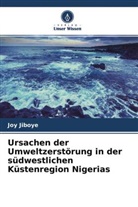 Joy Jiboye - Ursachen der Umweltzerstörung in der südwestlichen Küstenregion Nigerias