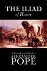 Homer - Iliad