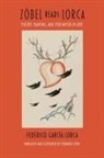 Luis Fernandez Cifue, Federico Garcia Lorca, Federico García Lorca, Christopher Maurer, Felipe Pereda, Fernando Zobel... - Zobel Reads Lorca – Poetry, Painting, and Perlimplin In Love