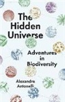 Alexandre Antonelli, Alexandre Antonelli - The Hidden Universe