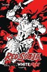 Dan Abnett, Amy Chu, David Avallone, Bob Q, Amy Chu, Dan Abnett... - Red Sonja: Black, White, Red Volume 2
