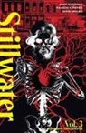 Mike Allred, Chip Zdarsky, A. J. Lieberman, Chip Zdarsky - Stillwater by Zdarsky & Perez, Volume 3