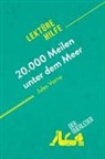 der Querleser - 20.000 Meilen unter dem Meer von Jules Verne (Lektürehilfe)