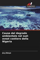 Joy Jiboye - Cause del degrado ambientale nel sud-ovest costiero della Nigeria