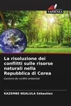 KAZEMBE NGALULA Sébastien - La risoluzione dei conflitti sulle risorse naturali nella Repubblica di Corea