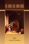 Stewart Florsheim, 1stworld Library - The Short Fall from Grace