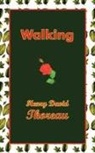 Henry D. Thoreau - Walking