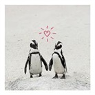Doppelkarte / Pinguine mit Herz // quadratisch