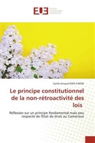 Cyrille Arnaud Fopa Tapon - Le principe constitutionnel de la non-rétroactivité des lois