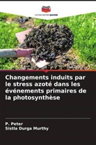 Sistla Durga Murthy, P. Peter - Changements induits par le stress azoté dans les événements primaires de la photosynthèse