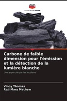 Raji Mary Mathew, Vinoy Thomas - Carbone de faible dimension pour l'émission et la détection de la lumière blanche