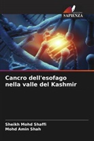 Sheikh Mohd Shaffi, Mohd Amin Shah - Cancro dell'esofago nella valle del Kashmir