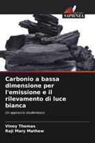 Raji Mary Mathew, Vinoy Thomas - Carbonio a bassa dimensione per l'emissione e il rilevamento di luce bianca