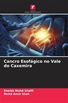 Sheikh Mohd Shaffi, Mohd Amin Shah - Cancro Esofágico no Vale do Caxemira