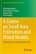 María Dolores Esteban, Tomá¿ Hobza, Tomás Hobza, Domingo Morales, Agu Pérez, Agustín Pérez - A Course on Small Area Estimation and Mixed Models