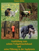 Dennis Möller - Ausbildung zum echten Vollgebrauchshund und seine Führung in der Jagdpraxis