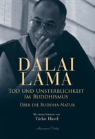 Dalai Lama XIV., Dalai Lama, Peter Michel - Tod und Unsterblichkeit im Buddhismus
