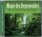 Magie des Regenwaldes, 1 Audio-CD (Audio book)