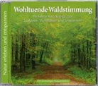 Wohltuende Waldstimmung, Audio-CD (Audio book)