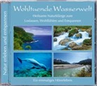 Wohltuende Wasserwelt, Audio-CD (Audio book)