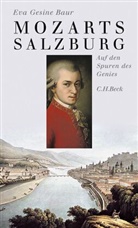 Eva Gesine Baur - Mozarts Salzburg