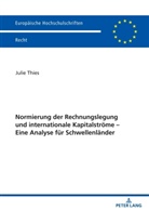 Julie Thies - Normierung der Rechnungslegung und internationale Kapitalströme - Eine Analyse für Schwellenländer