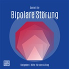 Daniel Illy, Martin Valdeig - Ratgeber Bipolare Störungen, Audio-CD (Audio book)