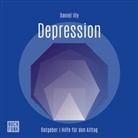 Daniel Illy, Martin Valdeig - Ratgeber Depression, Audio-CD (Audio book)