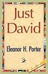 Eleanor H. Porter - Just David