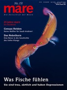 Nikolaus Gelpke - mare - Die Zeitschrift der Meere / No. 151 / Was Fische fühlen