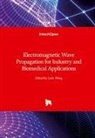 Lulu Wang - Electromagnetic Wave Propagation for Industry and Biomedical Applications