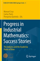 Manuel Cruz, Carlos Parés, Peregrina Quintela - Progress in Industrial Mathematics: Success Stories