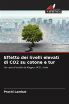 Prachi Lambat - Effetto dei livelli elevati di CO2 su cotone e tur