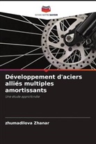 zhumadilova zhanar - Développement d'aciers alliés multiples amortissants
