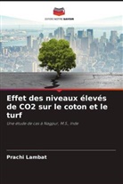 Prachi Lambat - Effet des niveaux élevés de CO2 sur le coton et le turf