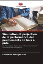 Sebastián Venegas Díaz - Simulation et projection de la performance des peuplements de bois à pâte