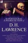 D. H. Lawrence - The Collected Supernatural and Weird Fiction of D. H. Lawrence-Three Novelettes-'Glad Ghosts, ' the Man Who Died, ' the Border Line'-And Five Short St