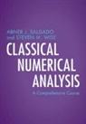 Abner J Salgado, Abner J. Salgado, Abner J. (University of Tennessee Salgado, Steven M Wise, Steven M. Wise, Steven M. (University of Tennessee Wise... - Classical Numerical Analysis