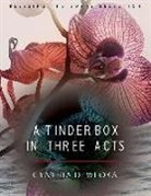 Cynthia Dewi Oka - A Tinderbox in Three Acts