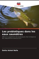 Datta Ashok Nalle - Les probiotiques dans les eaux saumâtres