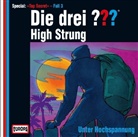 High Strung - Unter Hochspannung, 1 Audio-CD, 1 Audio-CD (Hörbuch)