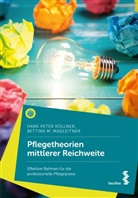 Aut, Armin Autz, Hans Peter Köllner, Bettina M Madleitner, Bettina M. Madleitner - Pflegetheorien mittlerer Reichweite