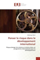 Abdoulaye Wane, Wane-A - Penser le risque dans le développement international